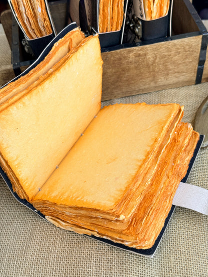 Księga Cieni – Leśny Strażnik